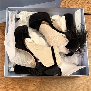 ANTONIO MELANI Black Feathered Heels